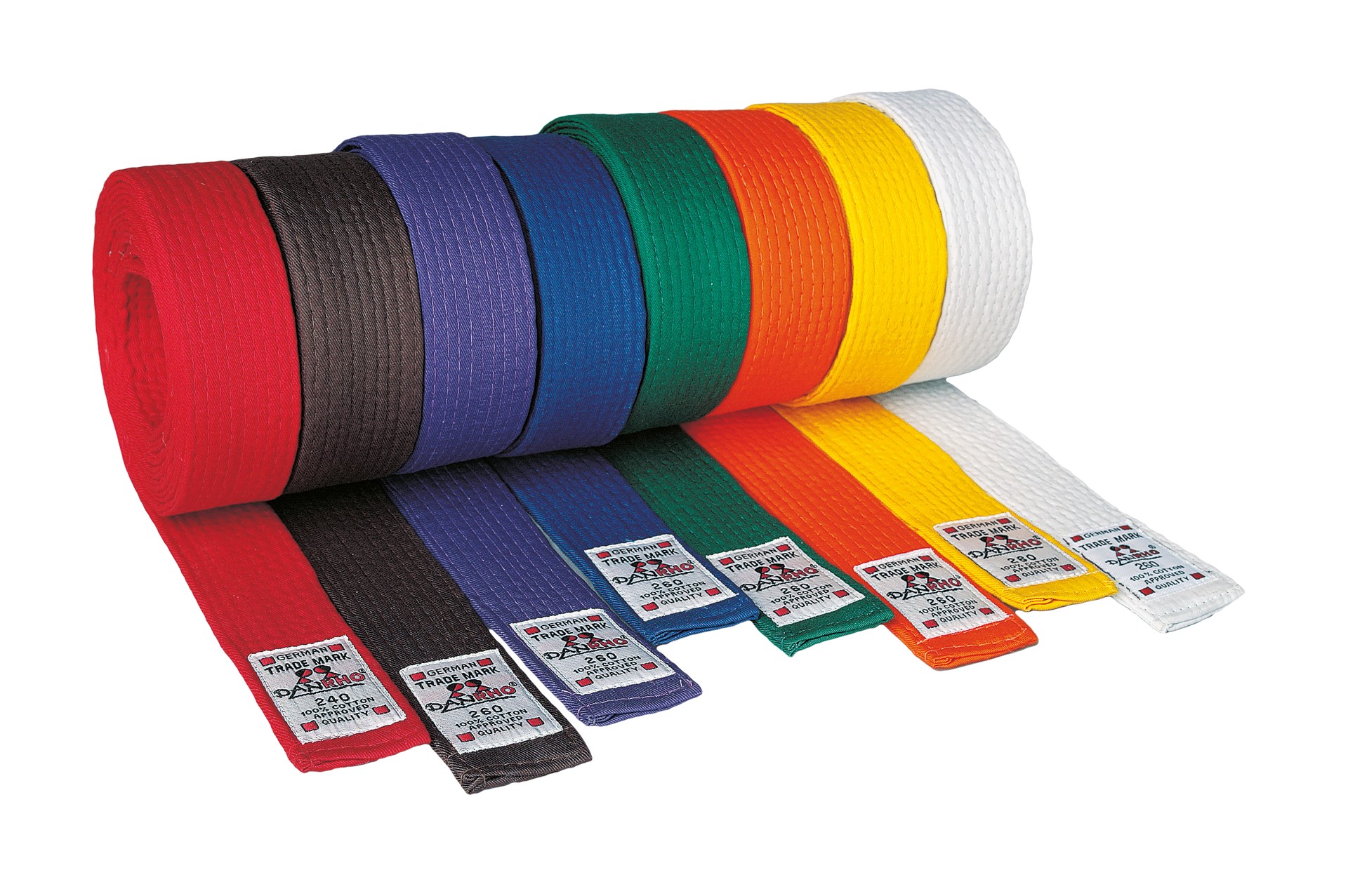 DANRHO Judo / Ju-Jutsu belt competition