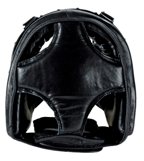 Head Guard with iron sight