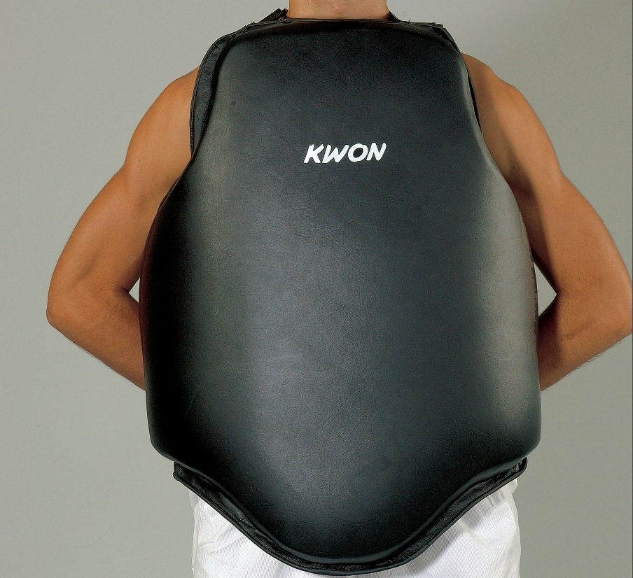 Chest Shield Repulse