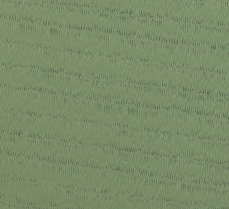 RHODE TATAMI Judo Mat Kasei RG 200